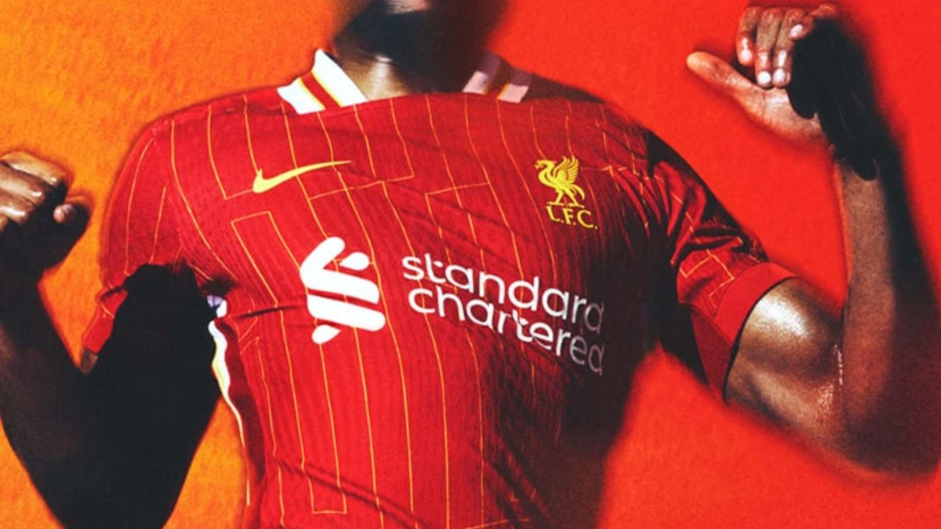 结语前瞻 结语前瞻